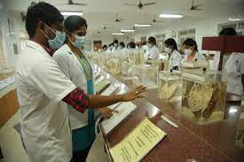MBBS From Sri Muthukumaran Medical College Hospital and Research Institute, Chennai